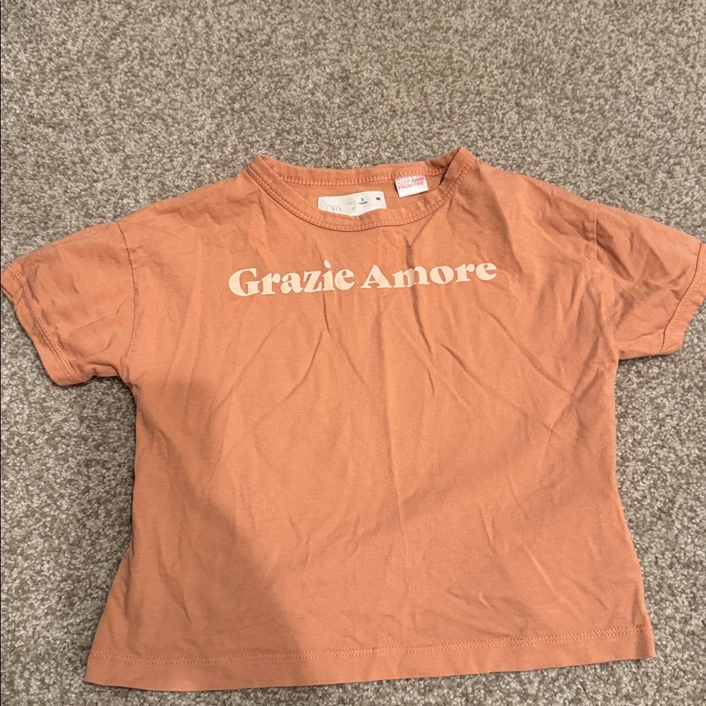 Zara Grazie Amore T-Shirt in Rust